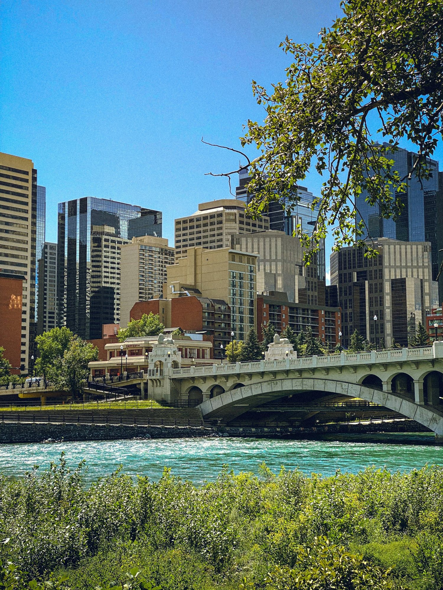 Downtown Calgary and the Centre Street Bridge from across the Bow River