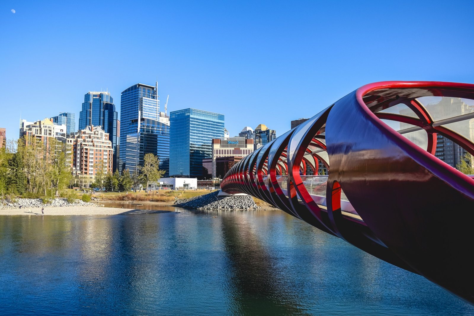 The red Peace Bridge over the Bow River with downtown behind it
