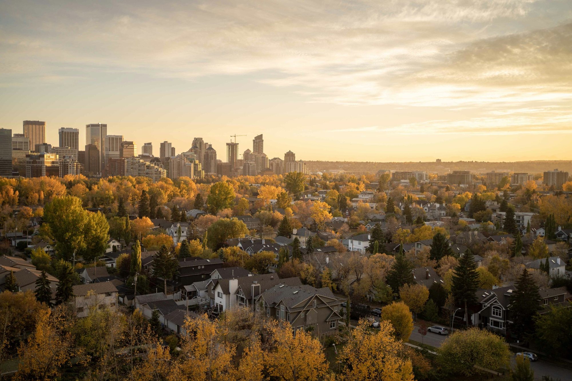 Inner-city rooftops and the skyline at golden hour in fall