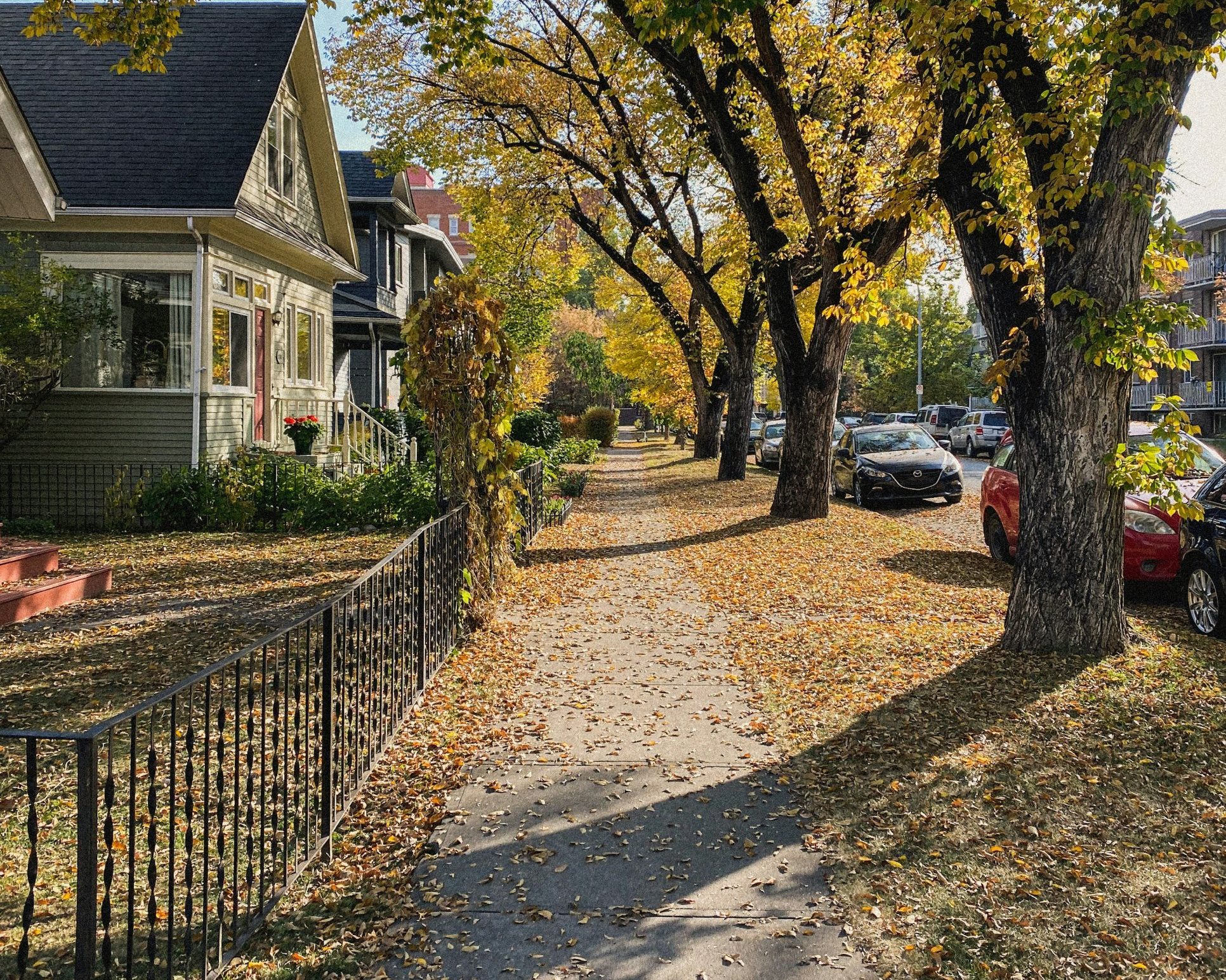 A tree-lined Mission street in fall, with a character home behind an iron fence